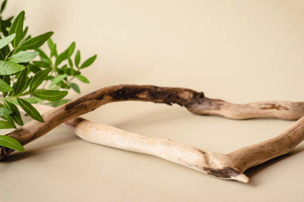 istock Natural background for cosmetic products. 1284727214