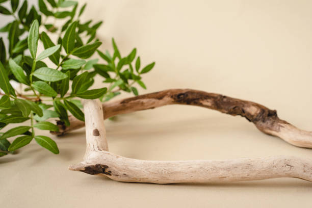 istock Natural background for cosmetic products. 1284727280
