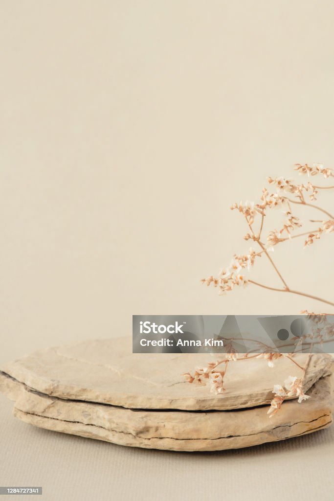 Background for cosmetic products of natural beige color. Background for cosmetic products of natural beige color. Stone podium and dry flower on a white background. Front view. Backgrounds Stock Photo