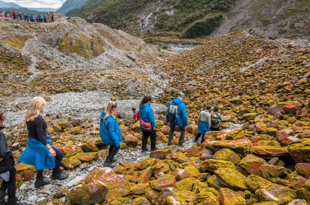 Scenic landscape of New Zealand, active hiking on vacation South Island, New Zealand - March 7, 2019: Group of hikers, walking on the rocky trek towards beautiful Franz Josef Glacier franz josef glacier photos stock pictures, royalty-free photos & images