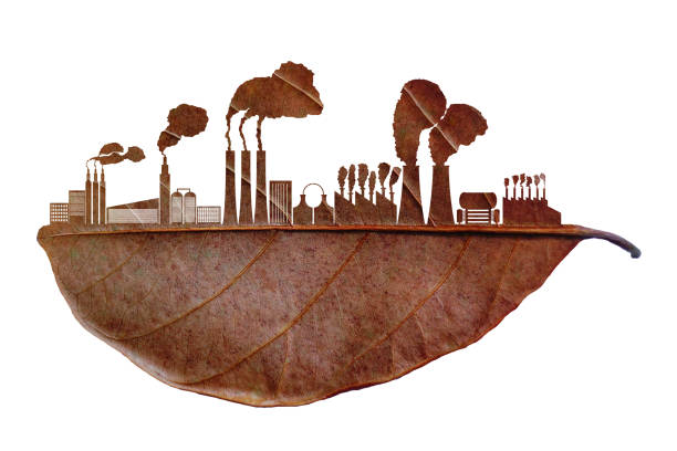 Cutting dry leaf. toxic smoke from industrial on the world bad environment.