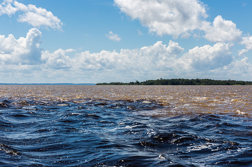 El Encuentro de Aguas (Encontro das'guas), un fenómeno natural con el Río Negro que se mezcla con el río Amazonas en el estado de Amazonas, Brasil, Sudamérica photo