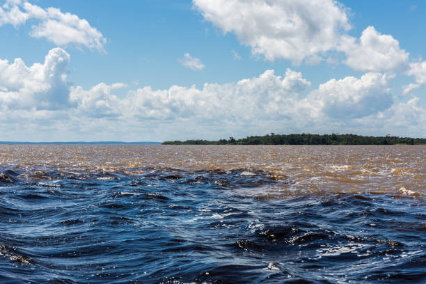 la rencontre des eaux (encontro das águas), un phénomène naturel avec le rio negro se mélangeant avec l’amazone dans l’état d’amazonas, brésil, amérique du sud - rainforest brazil amazon river amazon rainforest photos et images de collection