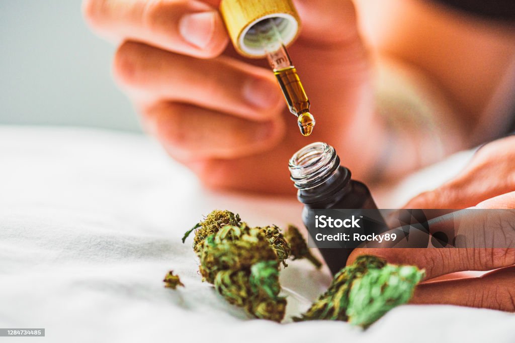 CBD Oil – Medical Use of Marijuana The use of cannabis as medicine has not been rigorously tested due to production and governmental restrictions, resulting in limited clinical research to define the safety and efficacy of using cannabis to treat diseases. Here's some CBD oil with a pipette Cannabis Plant Stock Photo