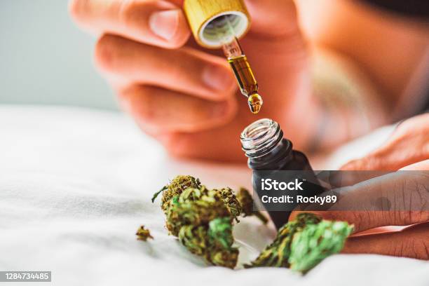 Cbd Oil Medical Use Of Marijuana Stock Photo - Download Image Now - Cannabis Plant, Cannabis - Narcotic, Medical Cannabis