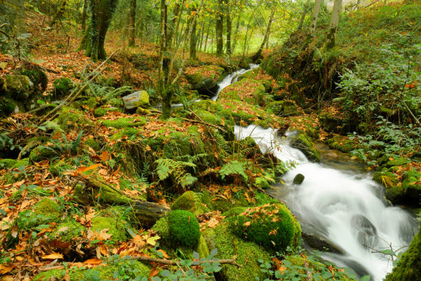 istock Slow water in the autumn 1284743754