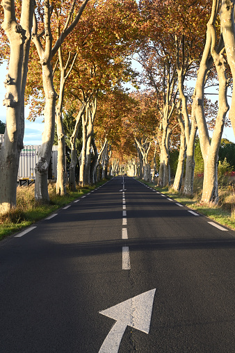 In fall, an empty road in south of france