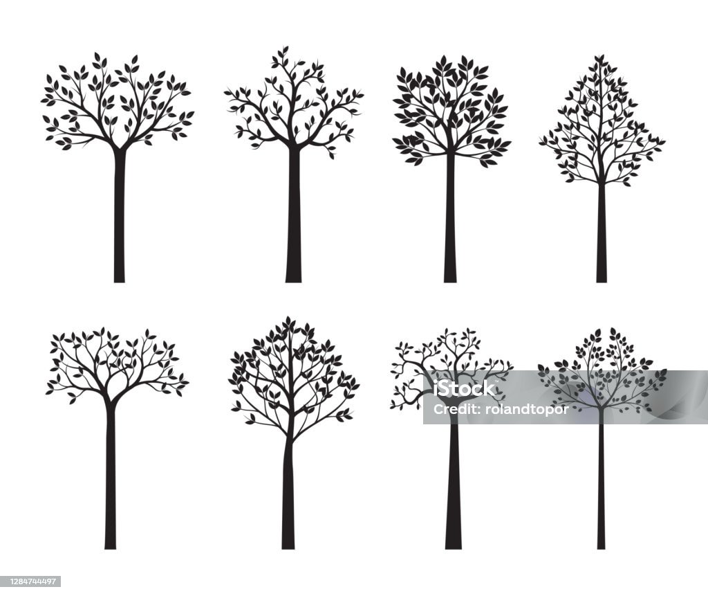 Tree Outline Reverse Set Back Trees And Leaves Vector Outline Illustration Eps File Stock ...