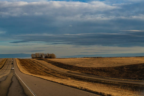Rural Landscape - Hay Field - Alberta Highway 2 between Calgary and Red Deer
