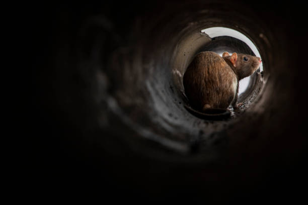 istock What's the World Like Out There? 1284747290