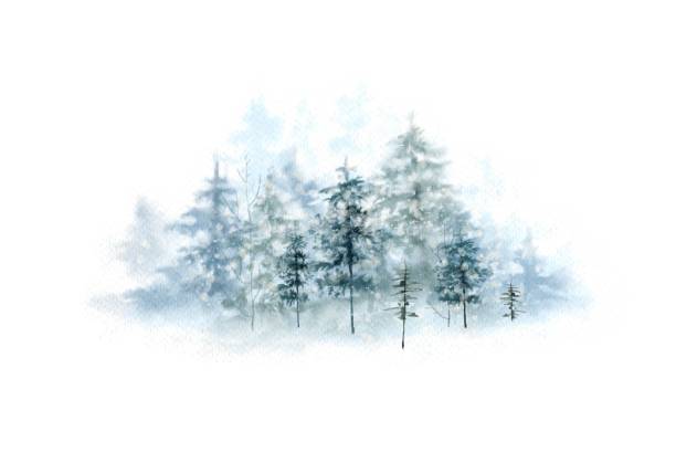 ilustraciones, imágenes clip art, dibujos animados e iconos de stock de acuarela navidad ilustración bosque de invierno, pintado a mano naturaleza vacaciones de invierno sobre fondo blanco - evergreen tree pine tree painted image watercolour paints