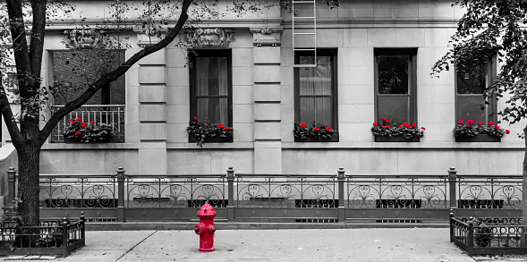 Black and white street scene in New York City with red fire hydrant and flowers in front of an old building NYC