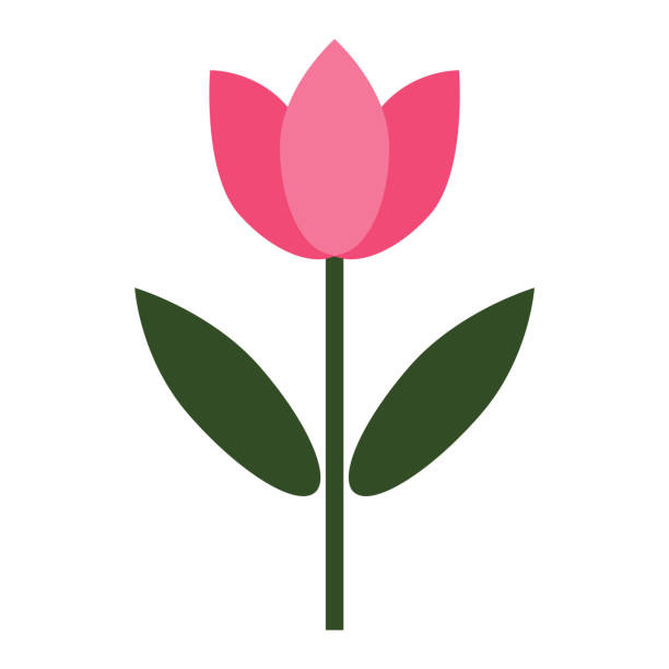 süße blumen-symbol - tulip stock-grafiken, -clipart, -cartoons und -symbole