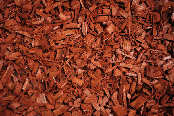 정원 장식에 사용되는 붉은 뿌리 덮개 - wood chip 이미지 뉴스 사진 이미지