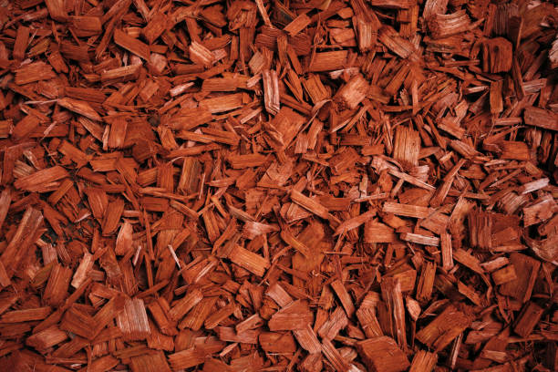Red mulch used for garden decoration.