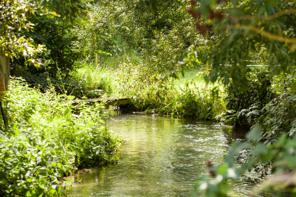 istock pretty little bridge spanning a small wild stream 1284750736