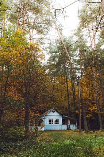 Scenic view of the beautiful blue abandoned wooden house hidden I the autumn forest in Ukraine