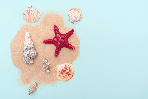 Holiday, summer vacation. Composition with sand and seashells, top view. Space for text. Layout for ideas.