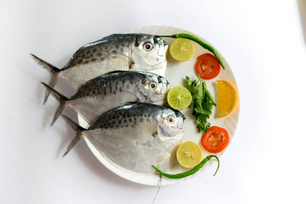 Fresh Razor moonfish/Razor Trevally Fish, Decorated with herbs and lemon slice on a white plate. Fresh Razor moonfish/Razor Trevally Fish, Decorated with herbs and lemon slice on a white plate. opah stock pictures, royalty-free photos & images