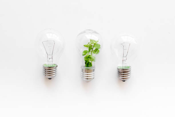 istock Energy saving eco bulb - lamp with green plant inside 1284759605