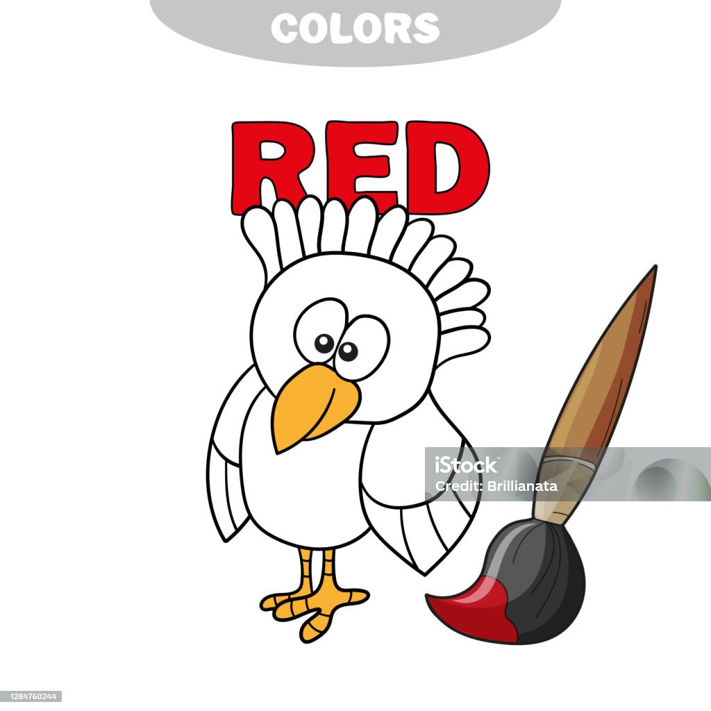 Finnie Colouring In Coloring Book Finny Bird Learn Colors Stock Illustration - Download ...