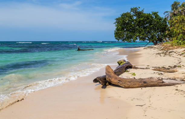 istock beach in costa rica 1284761814