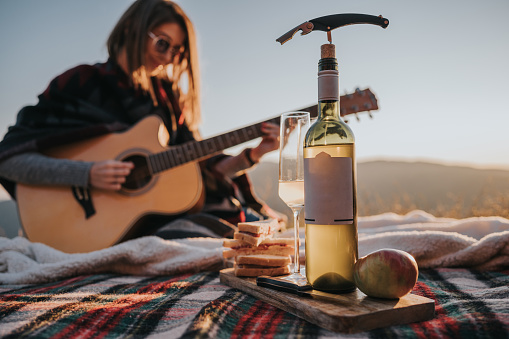 Young smiling couple drinking wine on the summer picnic.