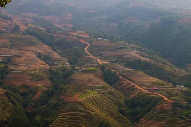 istock Vietnam landscape with rice field, river, mountain 1284765312