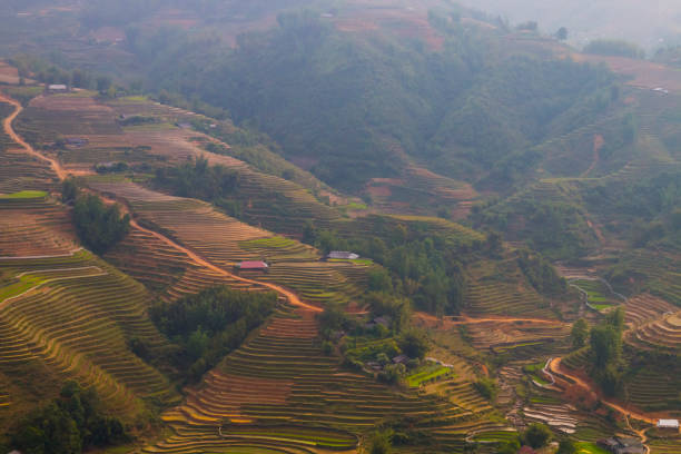 istock Vietnam landscape with rice field, river, mountain 1284765324