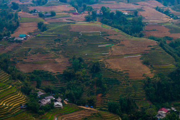 istock Vietnam landscape with rice field, river, mountain 1284765495