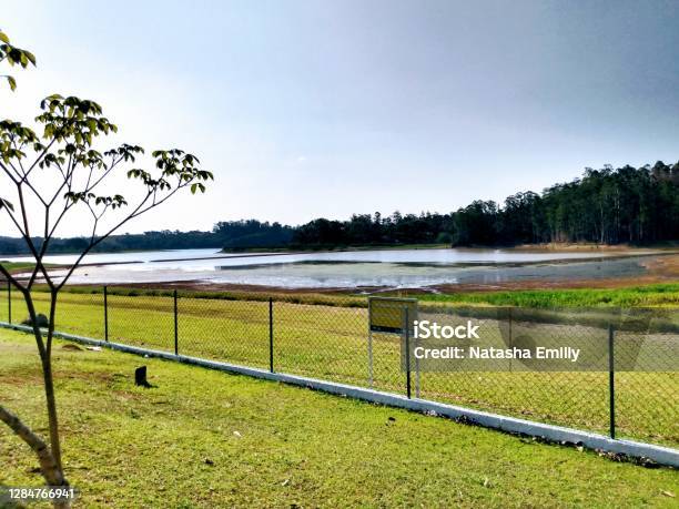 Sco River Stock Photo - Download Image Now - Brazil, Color Image, Environment