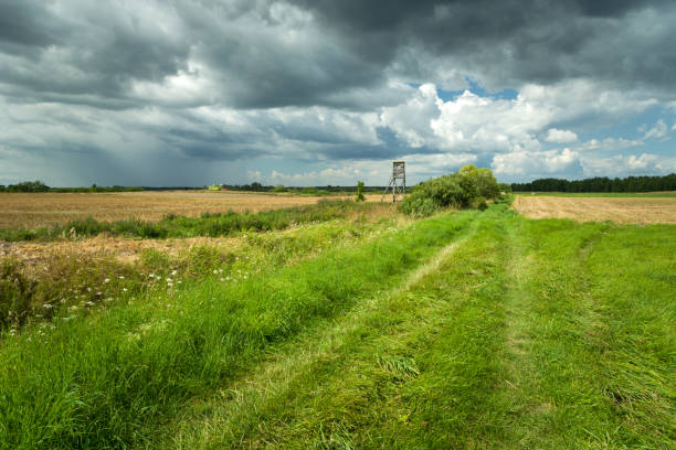 istock Grassy road to the field and rain cloud 1284770620