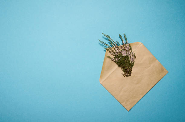 istock kraft paper envelope with heather branch on blue background 1284772905
