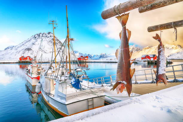 istock Fantastic landscapes of Lofotens 1284773410