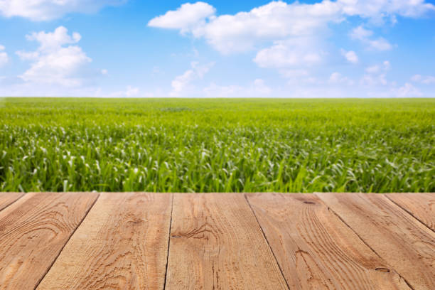 istock wooden table against green grass and blue sky 1284773540
