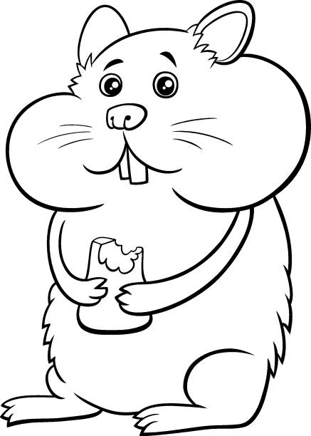  Ilustración de Hámster De Dibujos Animados Cómico Animal Personaje Para Colorear Página Libro y más Vectores Libres de Derechos de Hámster