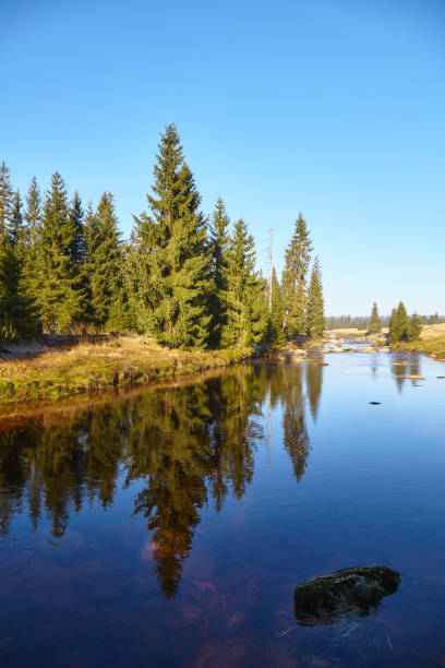 istock Izera River Valley on an early sunny morning, Poland. 1284776369