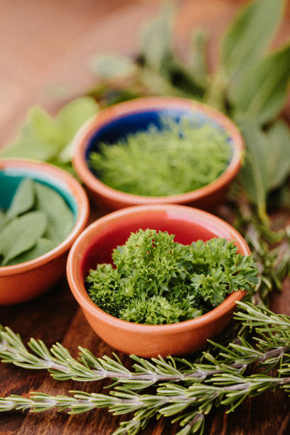istock Different tasty herbs in bowls with focus on the parsley 1284777566