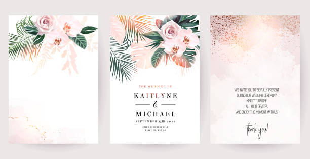 Dusty pink rose, white orchid, paradise plants, emerald green monstera and dried palm Dusty pink rose, white orchid, paradise plants, emerald green monstera and dried palm leaves cards. Stylish exotic frames. Sunset light. Wedding watercolor design. Elements are isolated and editable flower background stock illustrations
