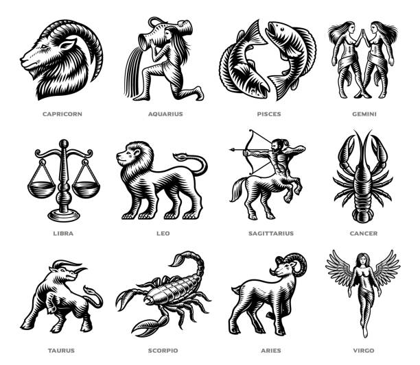 Black and White Zodiac Signs vector set. Black and White Zodiac Signs vector set on white background. virgo stock illustrations