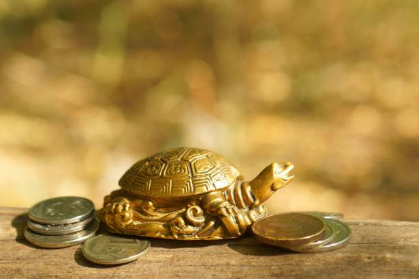 istock Metal turtle with coins on a natural background. 1284781760