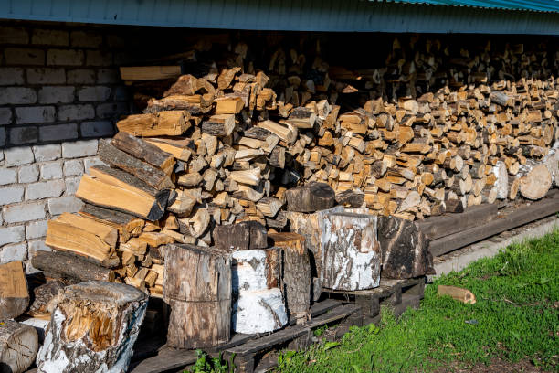 istock a warehouse of wood. 1284781767