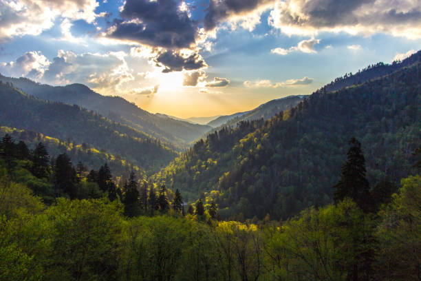 Great Smoky Mountains Sunset At Morton Overlook View from the Newfound Gap overlook over the vast wilderness of the Great Smoky Mountains National Park on the border of North Carolina and Tennessee. great smoky mountains national park photos stock pictures, royalty-free photos & images