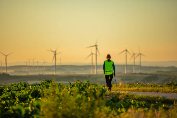 Rear view of Nordic walker in rural landscape with wind turbines at dawn