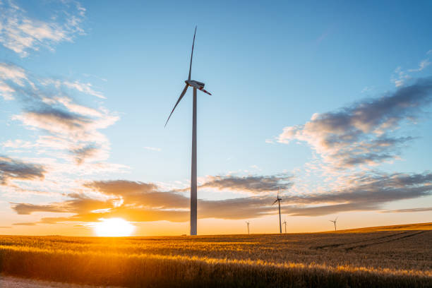 istock Wind power plant with agricultural fields at sunrise 1284784572