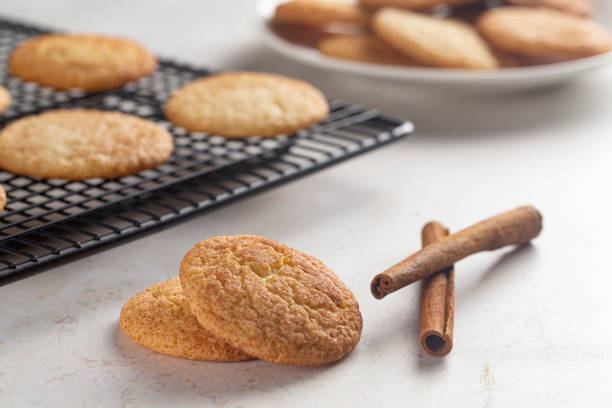 istock Classic Snickerdoodle Cookies on a Marble Countertop 1284785749