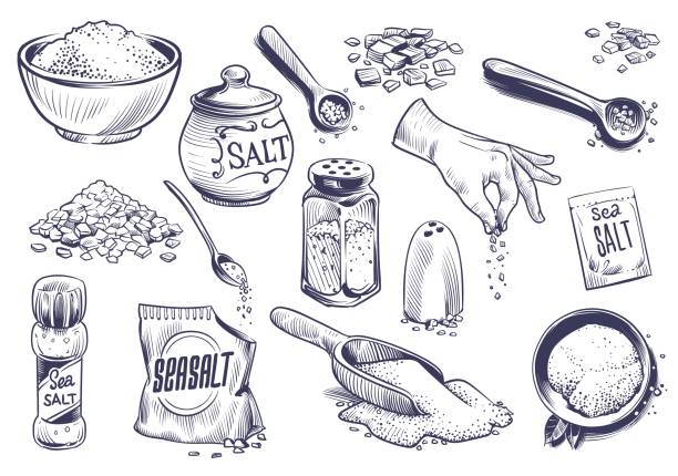 Hand drawn salt. Salting crystal, glass bottle with powder, spoon with spice, saltshaker sketch collection, himalayan or sea salt in engraved style set, cooking ingredient vector isolated illustration