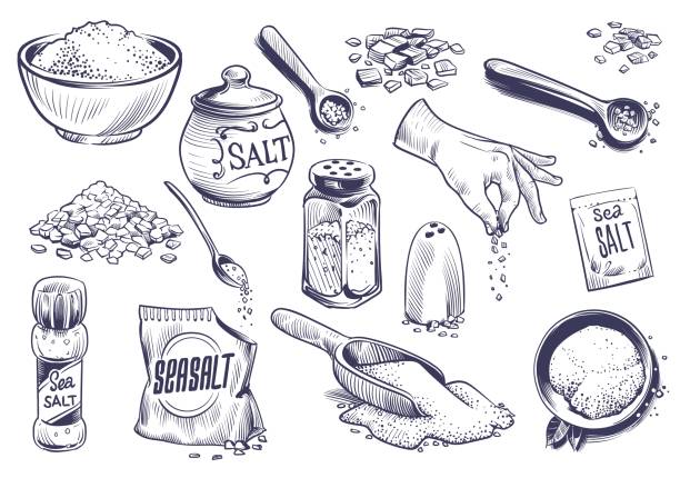 Hand drawn salt. Salting crystal, glass bottle with powder, spoon with spice, saltshaker collection, himalayan or sea salt in engraved style set, cooking ingredient vector illustration Hand drawn salt. Salting crystal, glass bottle with powder, spoon with spice, saltshaker sketch collection, himalayan or sea salt in engraved style set, cooking ingredient vector isolated illustration cooking drawings stock illustrations