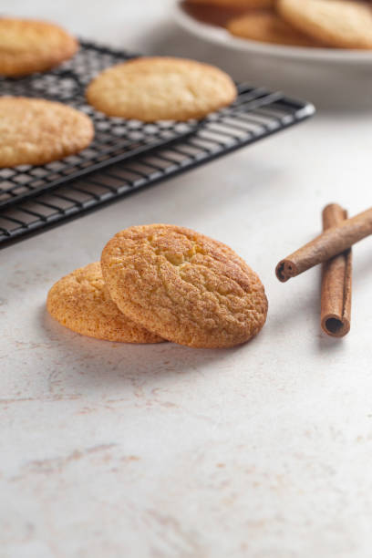 istock Classic Snickerdoodle Cookies on a Marble Countertop 1284786792