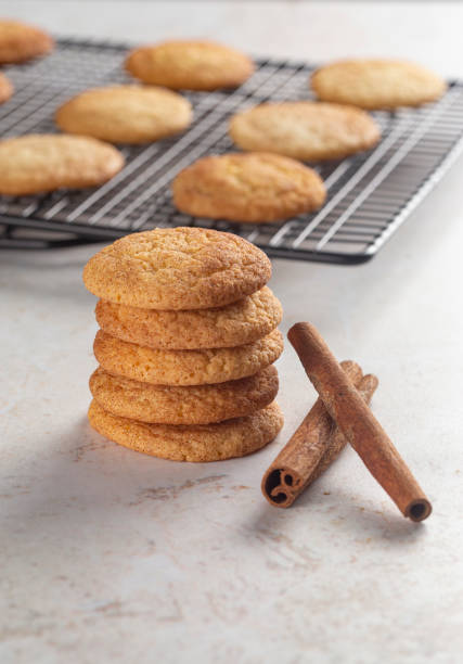 istock Classic Snickerdoodle Cookies on a Marble Countertop 1284787064